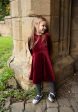 Children s Wine Velvet Dress (Elfin) Online Hot Sale