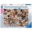 1000pc Dogs Galore! Online Sale