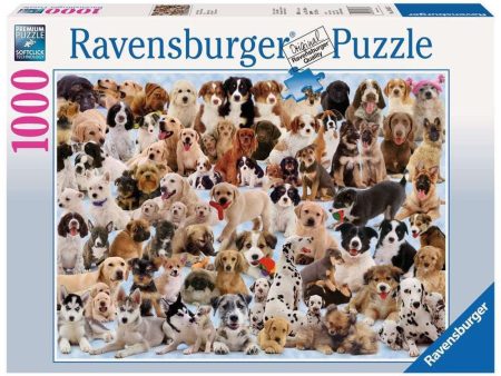 1000pc Dogs Galore! Online Sale