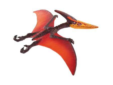 Pteranodon Sale