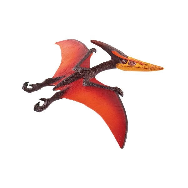 Pteranodon Sale