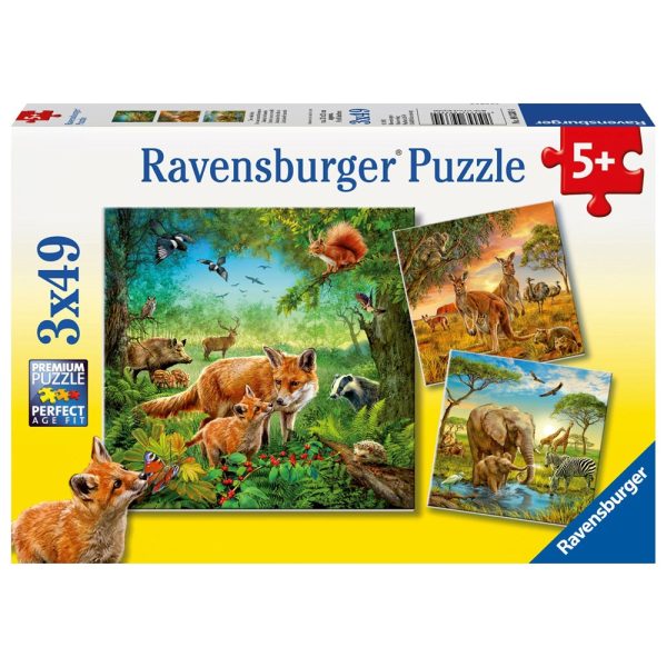 3x49pc Animals of the Earth Sale