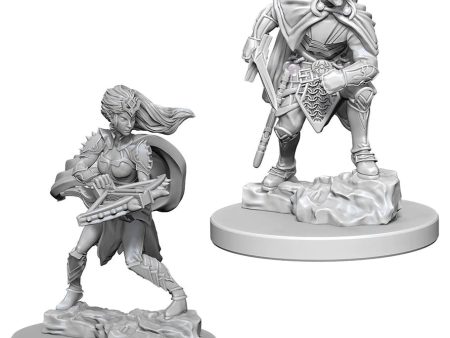 D&D Nolzurs Marvelous Unpainted Miniatures: Drow Fashion