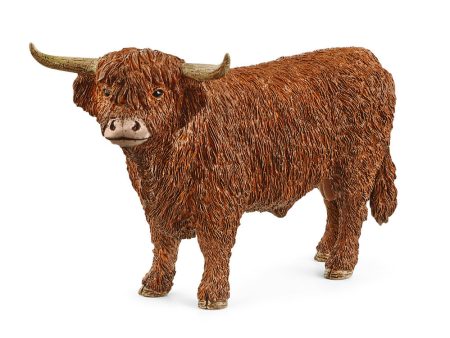 Highland Bull on Sale