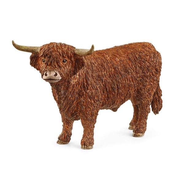 Highland Bull on Sale