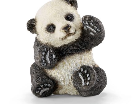 Panda cub playing For Sale