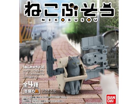 Neko Busou Nami Mori Hot on Sale