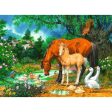 100pc Ponies at the Pond Sale