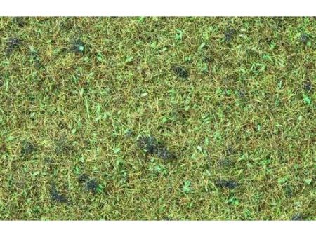 Static Grass Forest Floor 2.5mm Online now