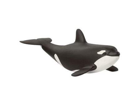 Baby Orca For Discount