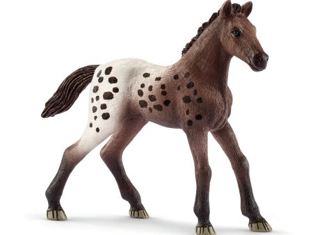 Appaloosa foal Online Hot Sale