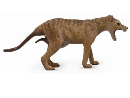 Thylacine Tasmanian Tiger on Sale