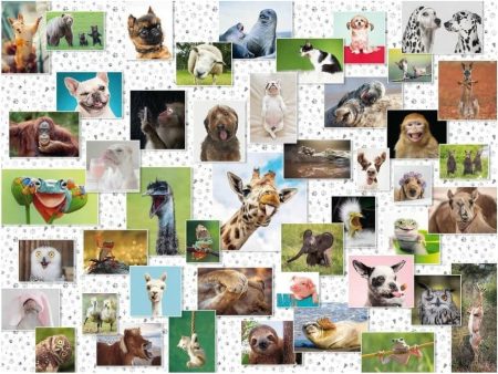 1500pc Funny Animals Puzzle Online Sale