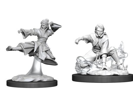 D&D Nolzurs Marvelous Unpainted Miniatures: Female Human Monk Online Hot Sale